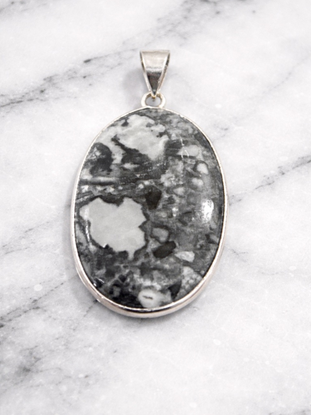 Fossil Jasper Sterling Silver Pendant Shell Fossil Statement Stone